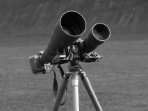 20_nikon.d3.mit.sigma.300_800_f5.6_und_sigma.120-300_f2.8_auf_eki_md2