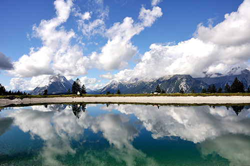 fotografie 500x333